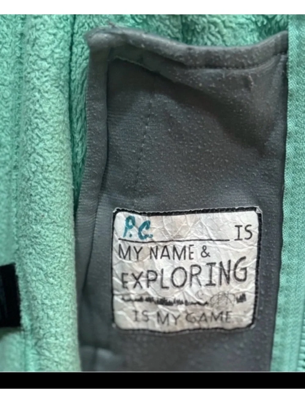The North Face north face